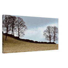 Load image into Gallery viewer, Canvas
